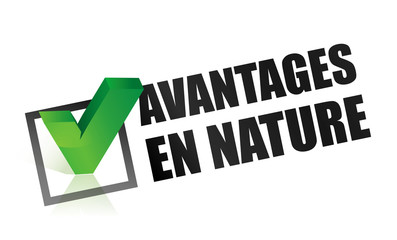 Les avantages en nature : l’impact sur le salaire