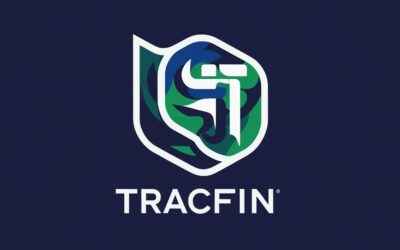 Bilan Tracfin 2024 : ce que vous devez retenir